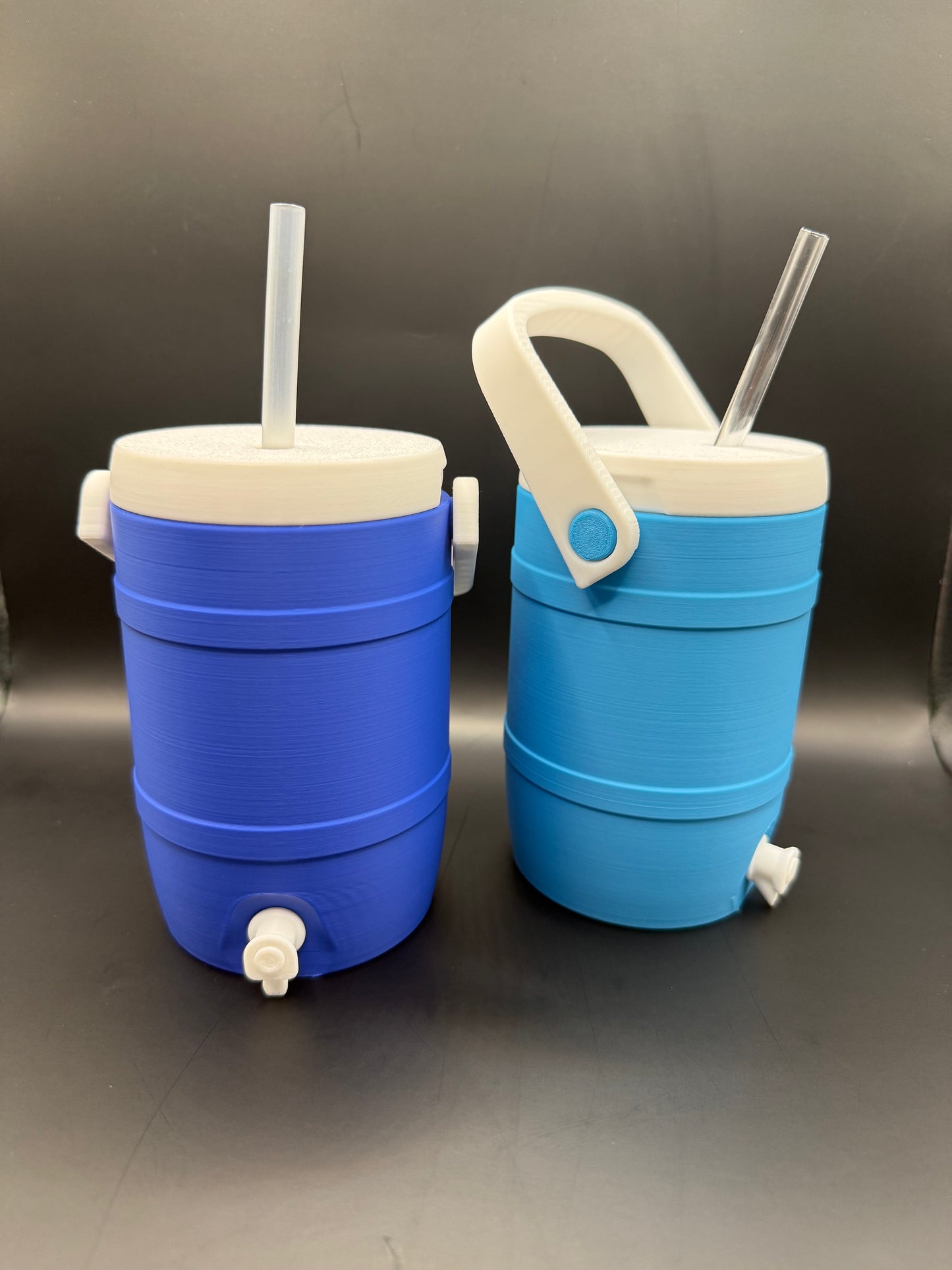 12oz Coozies