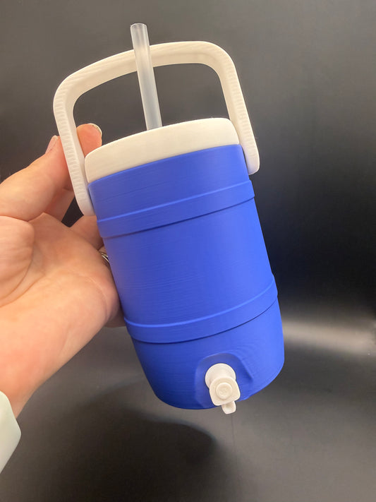 12oz Coozies